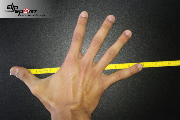 cách đo size bàn tay