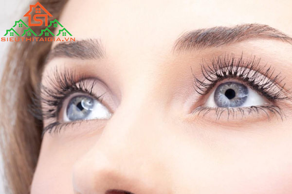 lông mi rụng nhiều là bệnh gì