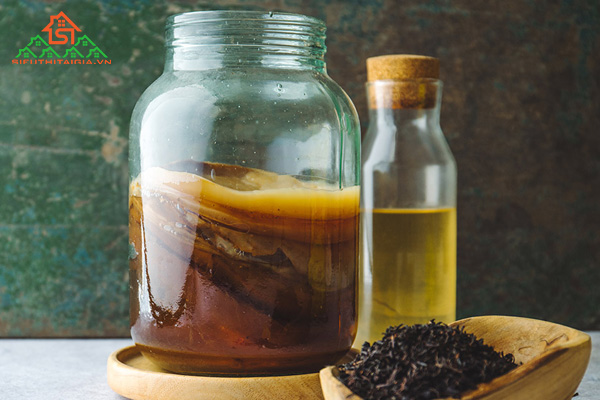 kombucha là gì