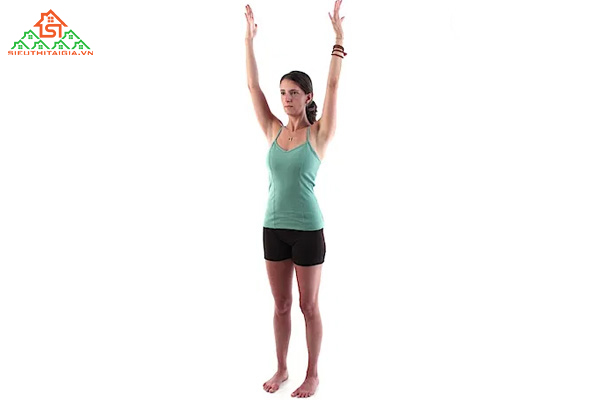 Bài tập yoga tăng chiều cao cho người trưởng thành