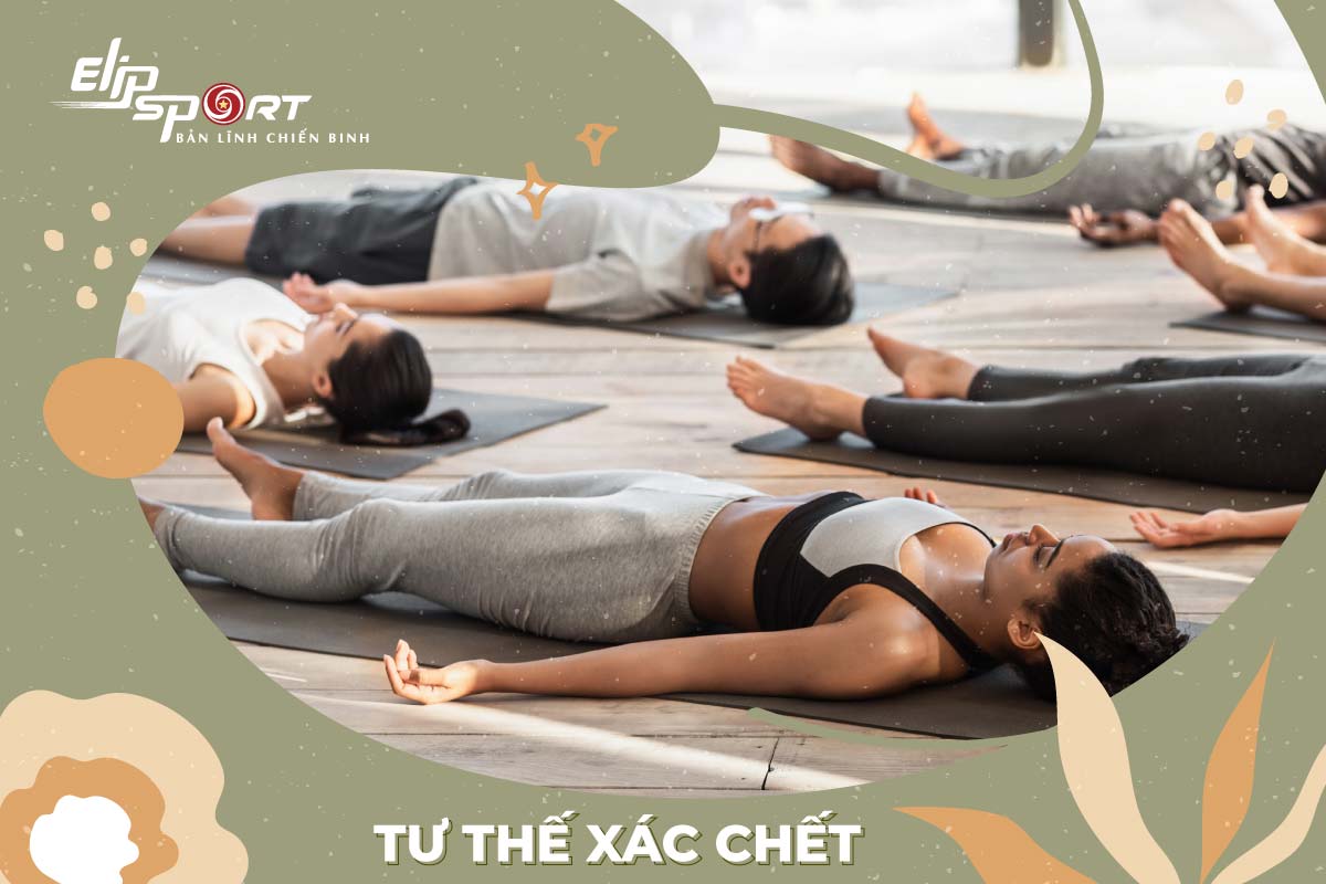 các bài tập yoga cho lưng thẳng