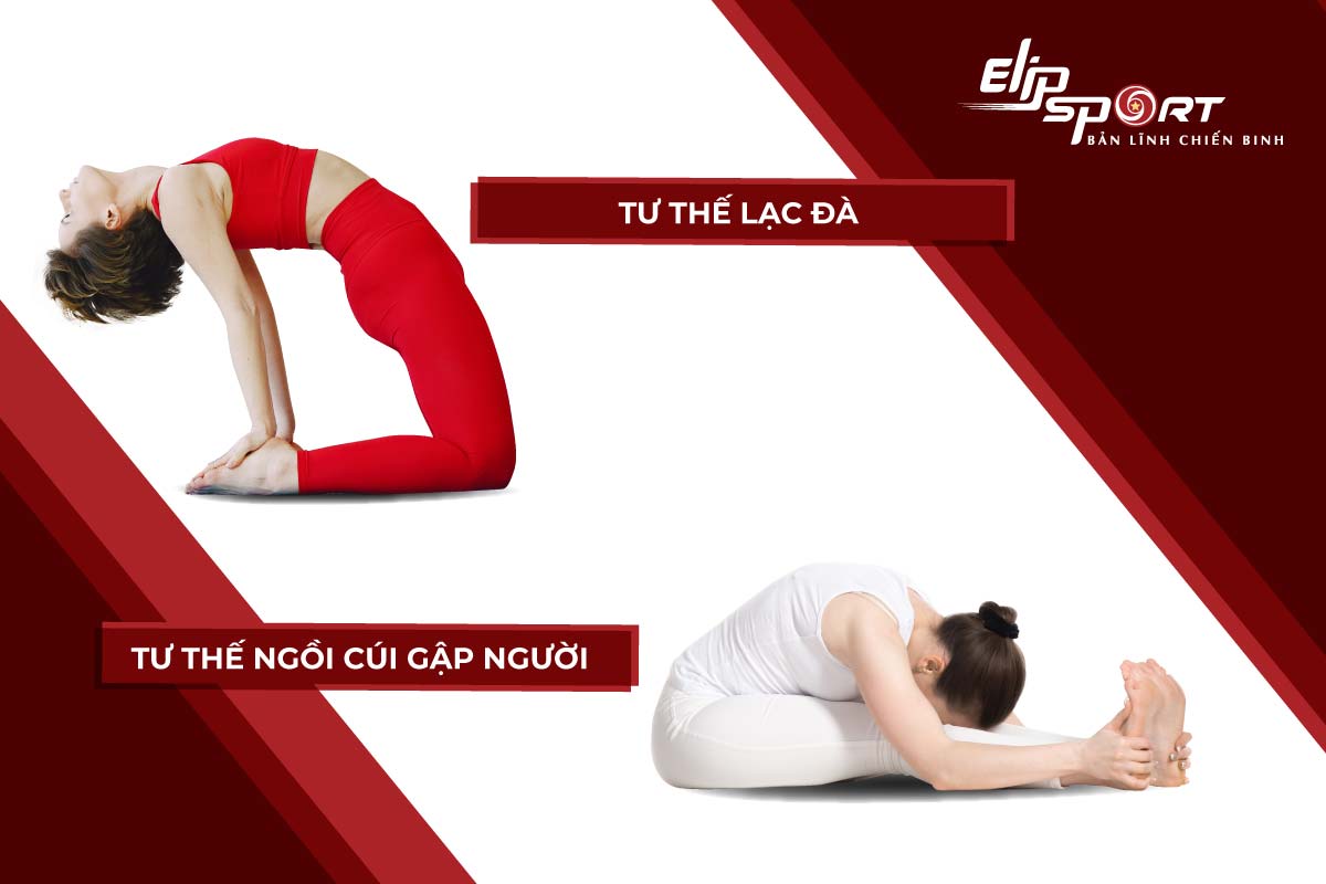 yoga giảm mỡ bụng dưới