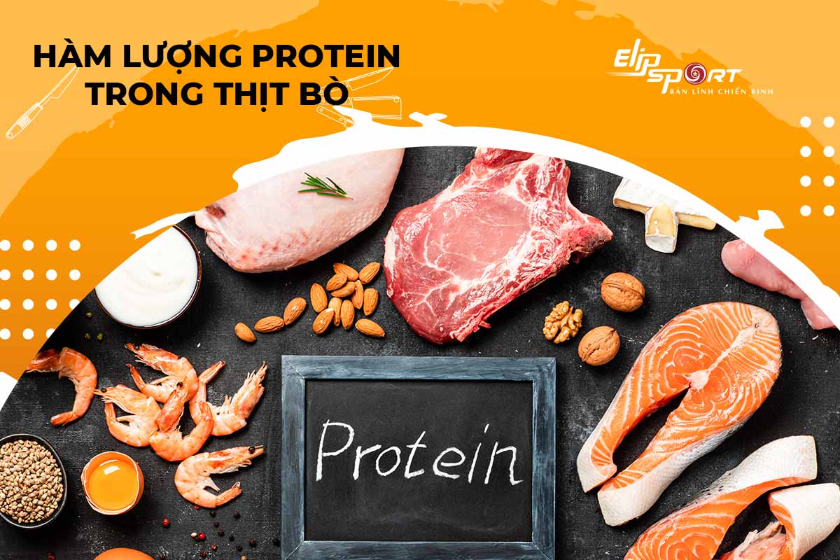 100g Thịt Bò Chứa Bao Nhiêu Protein