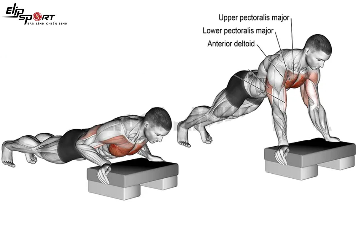 Incline Push up