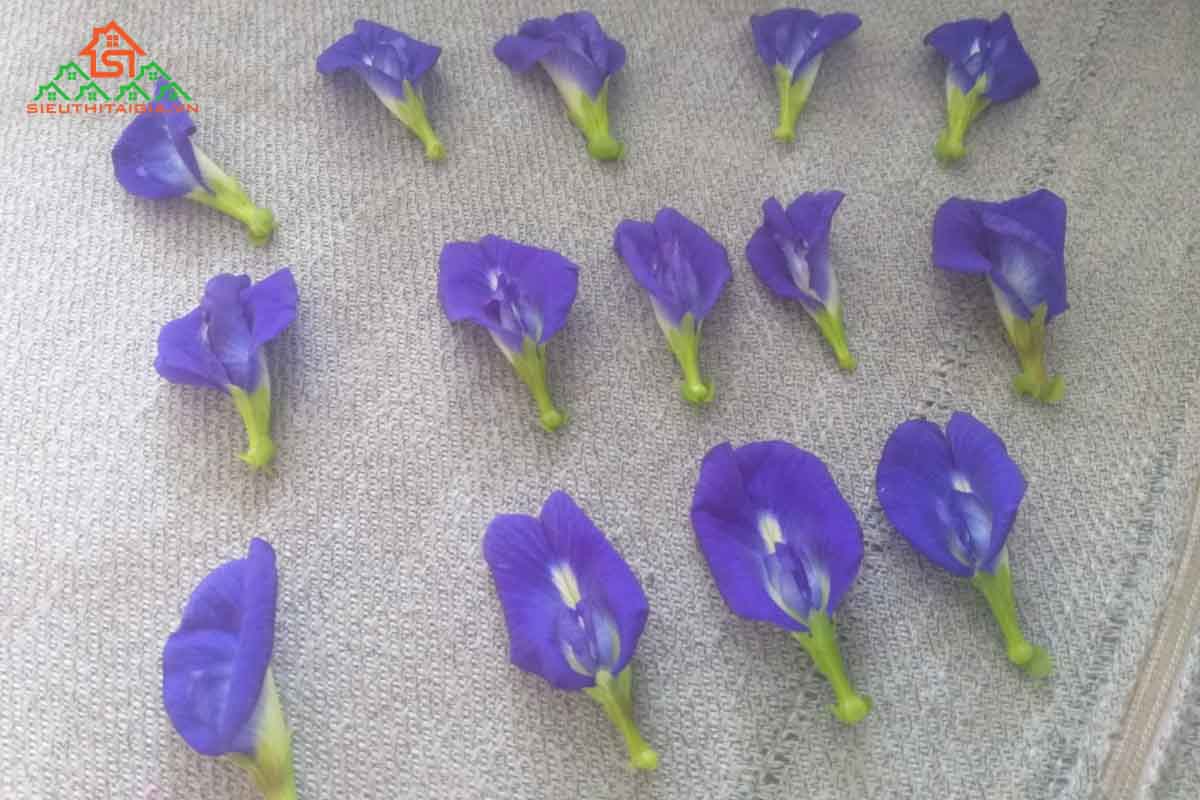 Công dụng của hoa đậu