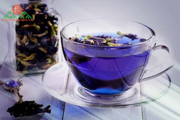 hoa đậu biếc trị viêm xoang