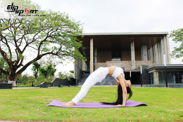 Tập Yoga Có Tác Dụng Gì Đối Với Sức Khỏe Của Chúng Ta?