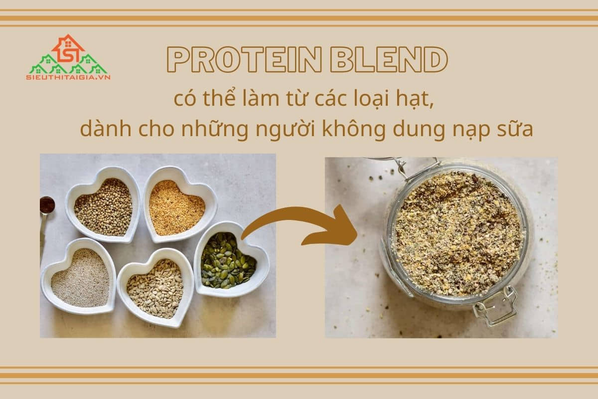 Protein blend là gì