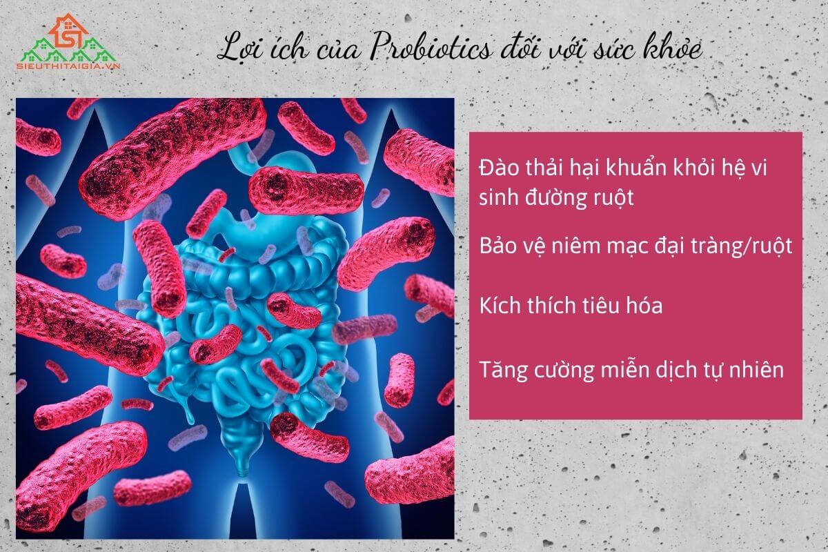 probiotics là gì