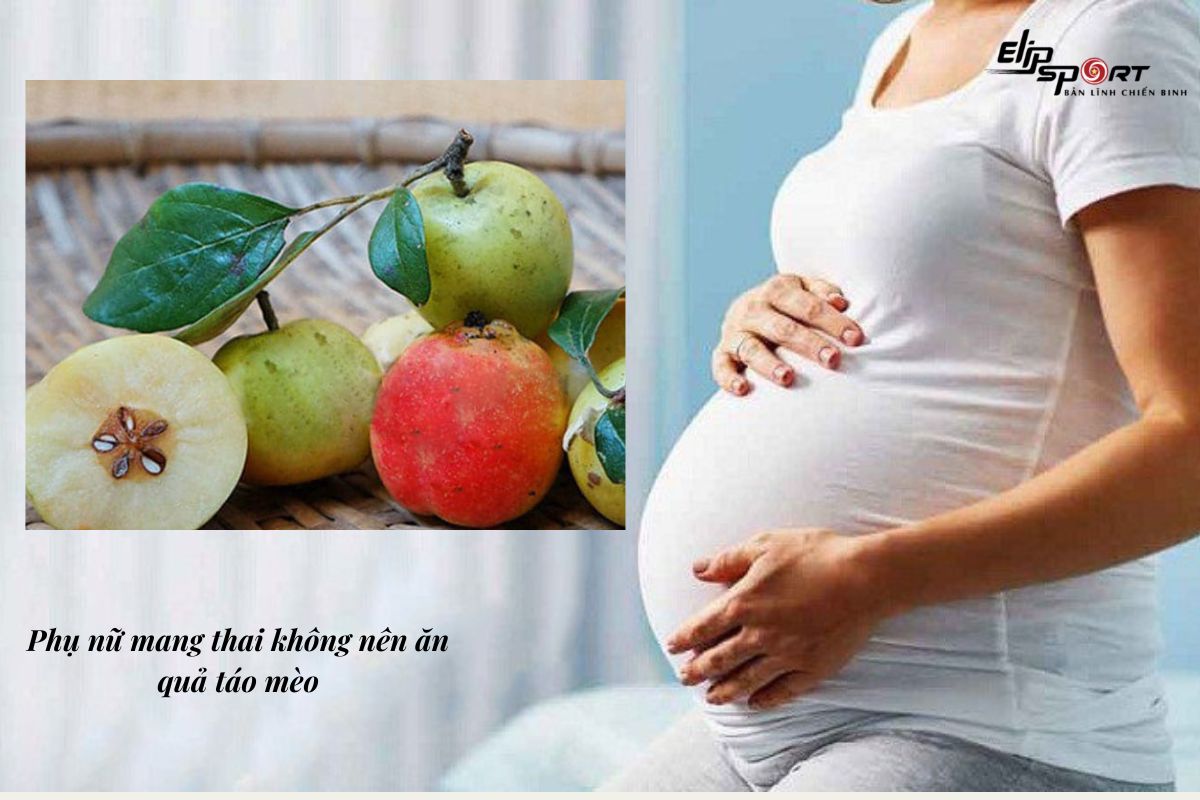Bà bầu lỡ ăn táo mèo khi mang thai có sao không? - ảnh 1