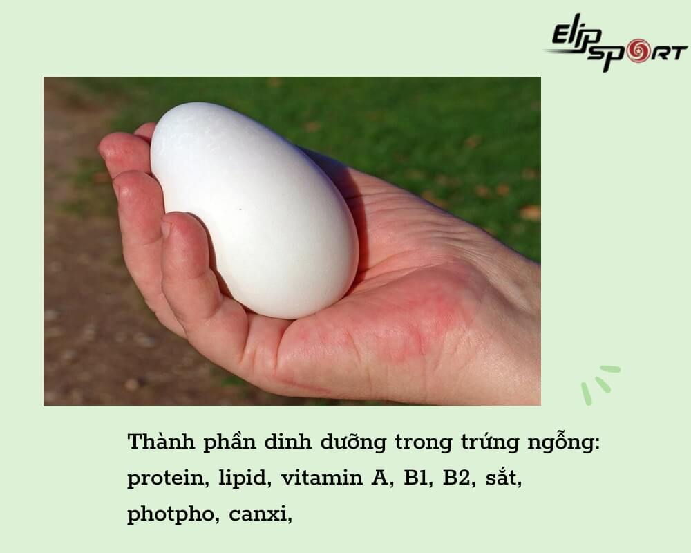 Trứng ngỗng có tốt cho bà bầu