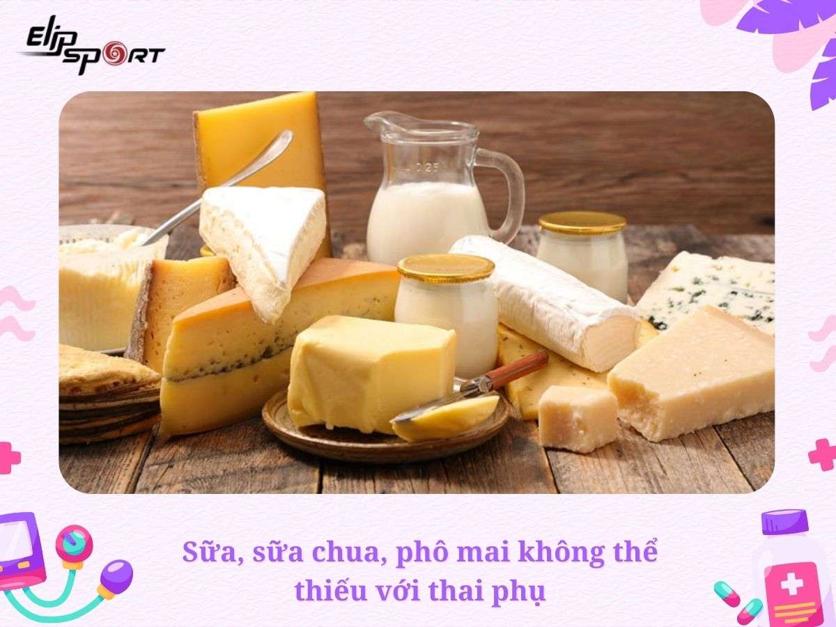 Sữa, sữa chua, phô mai không thể thiếu với thai phụ