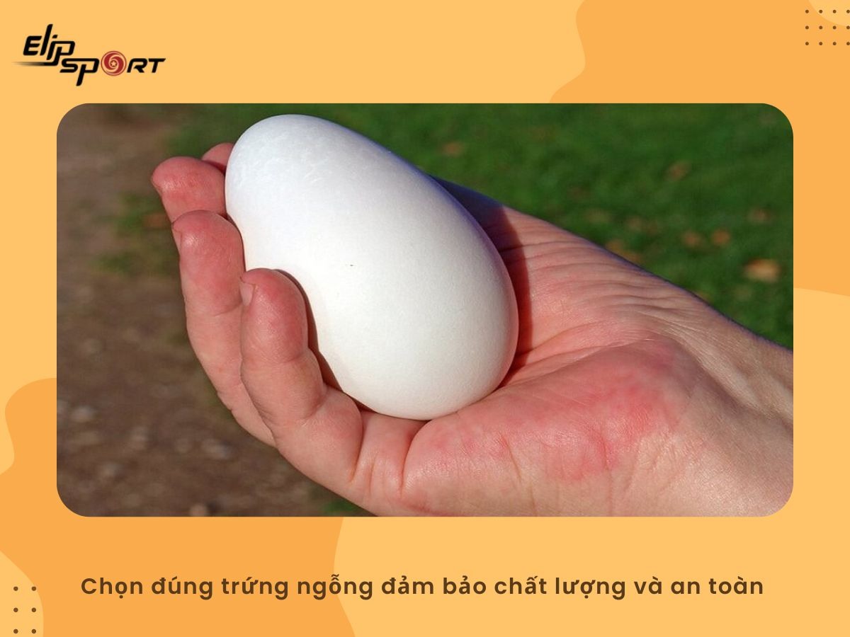 Chọn đúng trứng ngỗng đảm bảo chất lượng và an toàn khi sử dụng