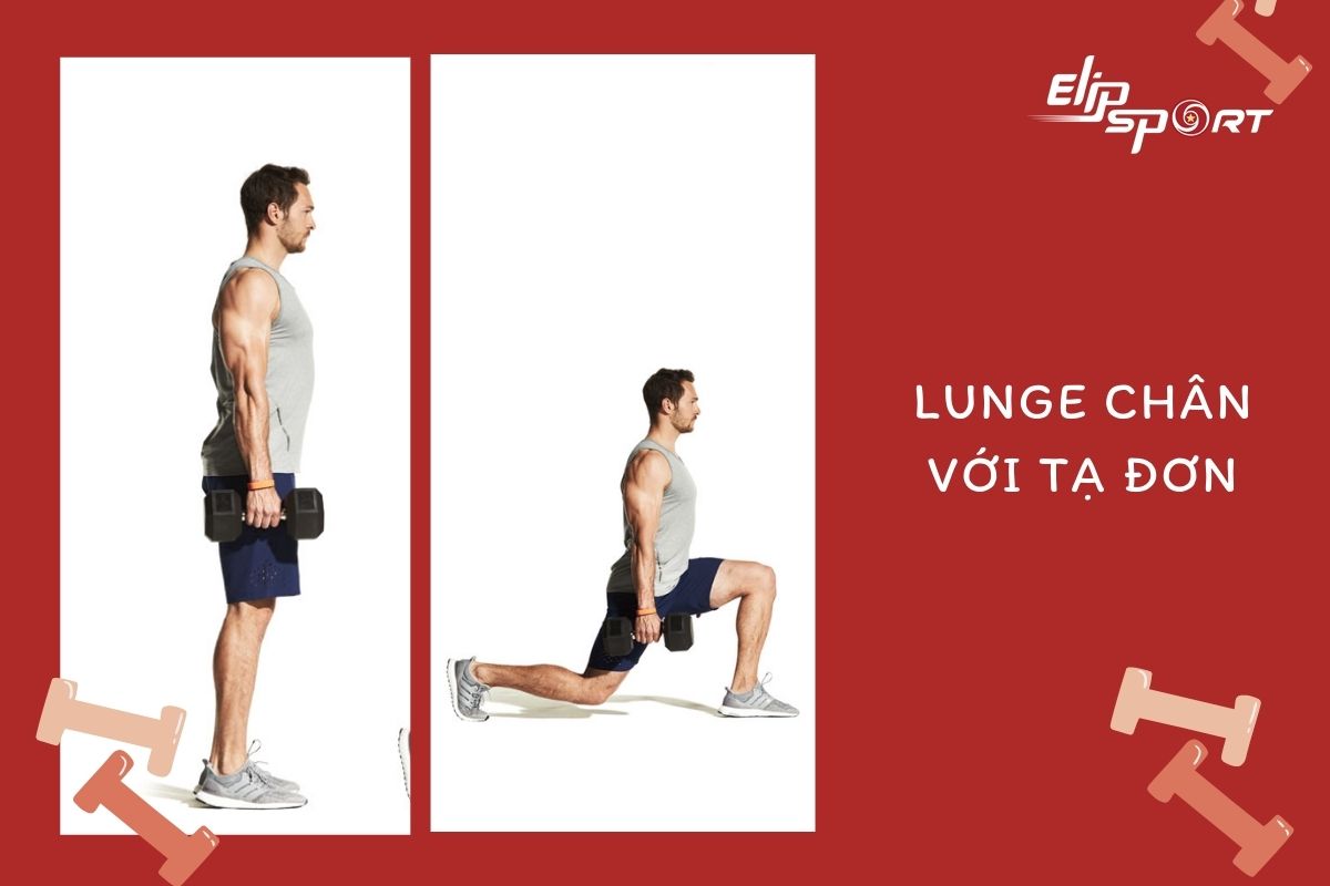 bài tập giảm mỡ bụng gym