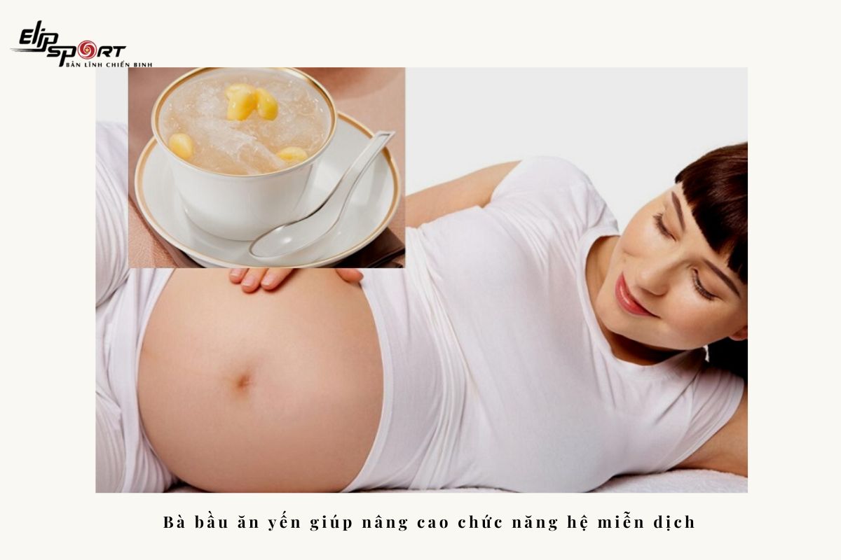 bầu ăn yến có tốt không