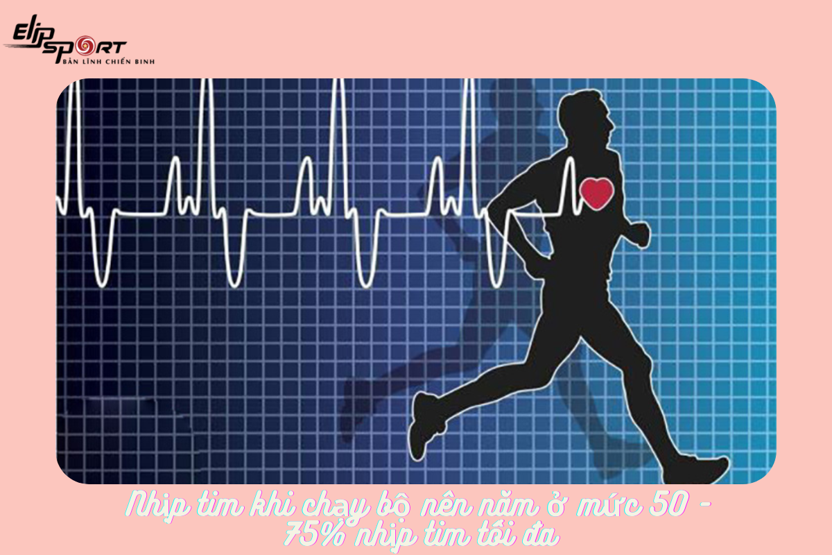 nhịp tim khi chạy bộ