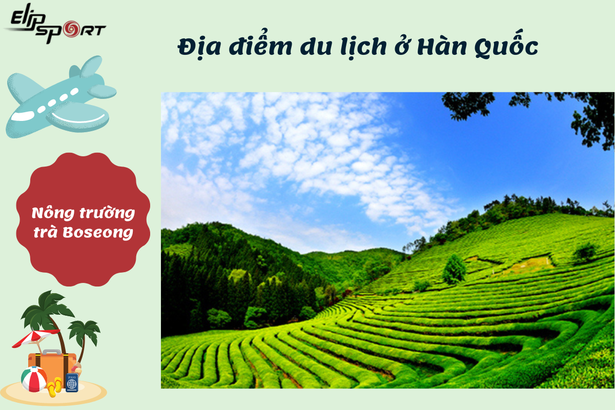 du lịch hàn quốc