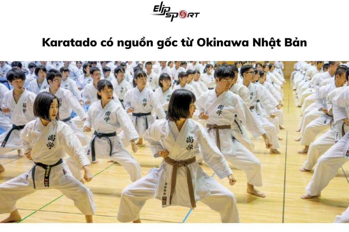 Karate là gì 