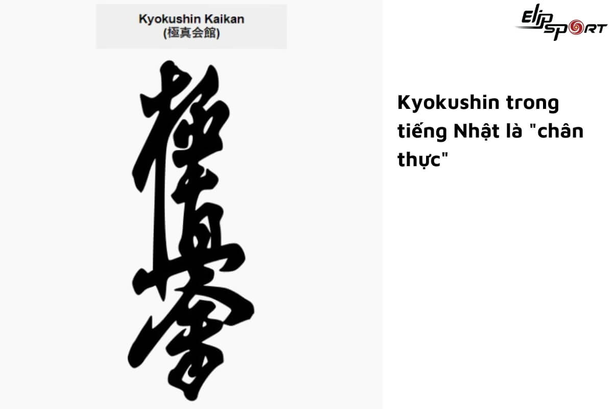 Kyokushin có ý nghĩa gì