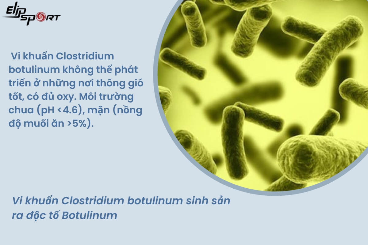 ngộ độc botulinum
