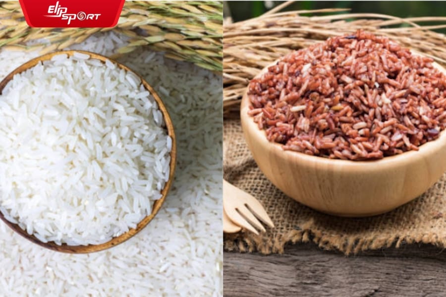 Nên ăn cơm gạo trắng hay cơm gạo lứt?
