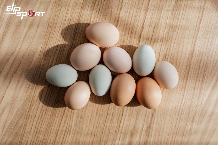 Lượng protein của mỗi loại trứng cũng sẽ khác nhau