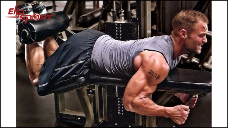 Máy tập cơ đùi sau là một thiết bị trong phòng gym để tập luyện