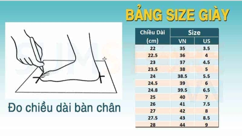 Để chắc chắn nhất bạn hãy đeo thử giày trước khi quyết định mua