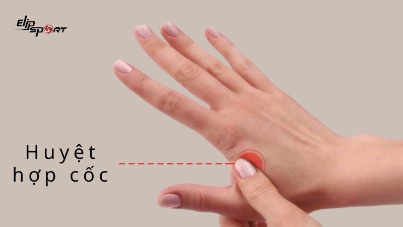 Bấm huyệt Hợp cốc