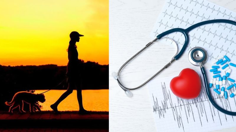 Đi bộ làm giảm nguy cơ gây ra các bệnh tim mạch