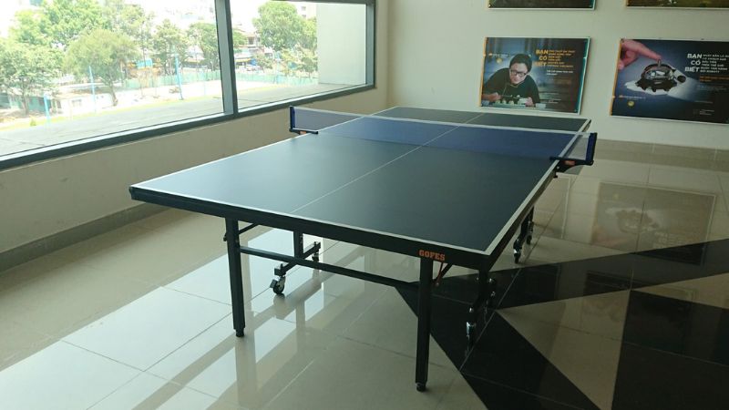 Bàn bóng bàn có hai loại chính, tùy vào nhu cầu sử dụng mà bạn hãy lựa chọn cho phù hợp