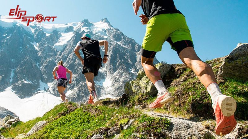 Chạy trail là một hình thức chạy bộ kết hợp với leo núi