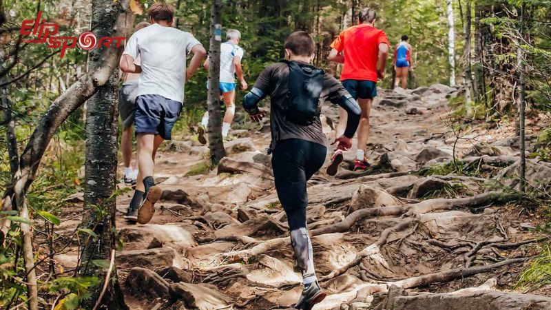 Việc tổ chức trail running với số lượng người tham gia lớn được coi là một quy tắc an toàn cơ bản