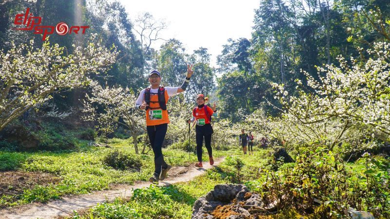 Kỹ thuật chạy trail chính xác không cho chúng ta cảm giác chạy nhanh