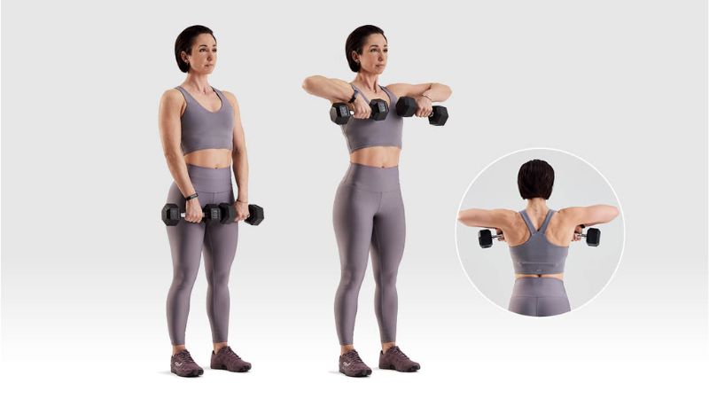 Kéo tạ thẳng trước ngực Dumbbell upright row