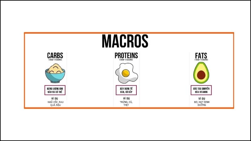 Chế độ Macro, một phương pháp ăn uống phổ biến trong cộng đồng tập gym