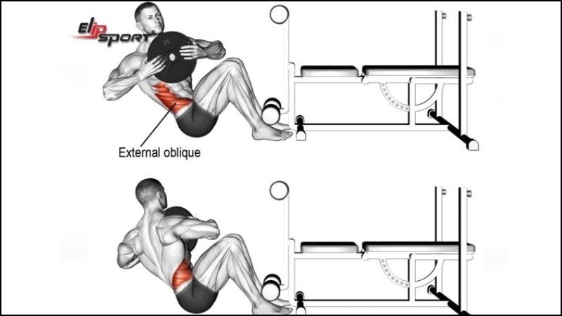 Bài tập Sitting Twist