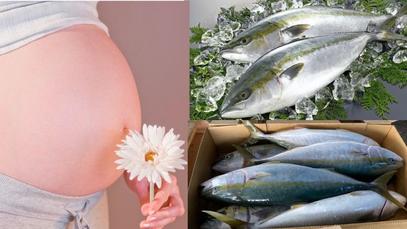 Mẹ bầu có thể ăn 2-3 khẩu phần cá mỗi tuần (tổng cộng 240 đến 350 gram), bao gồm nhiều loại cá