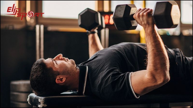 Khởi động trước khi tập gym sẽ tránh được nguy cơ đau cơ