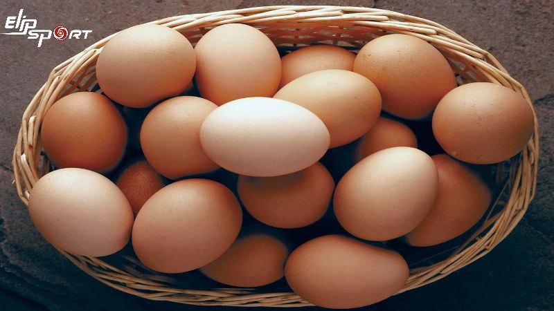 Trứng là thực phẩm tốt cho sức khỏe dành cho các bạn tập gym