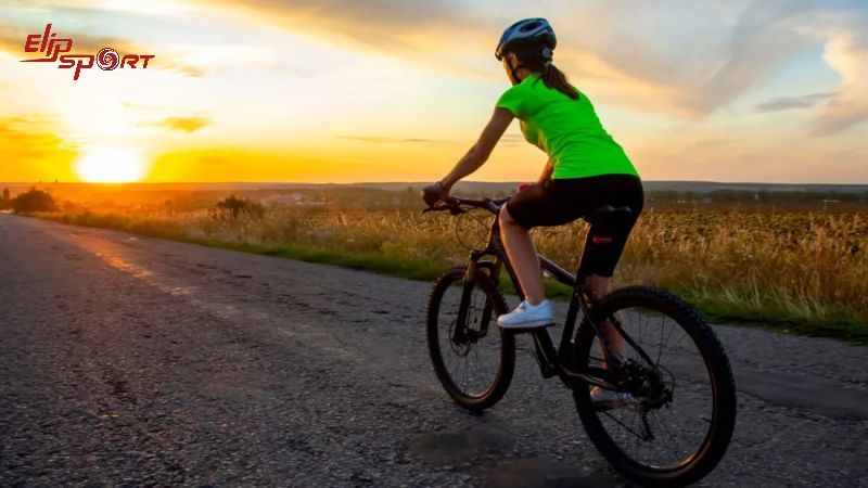 Đạp xe là một bộ môn thể thao phổ biến và mang lại rất nhiều lợi ích cho sức khỏe