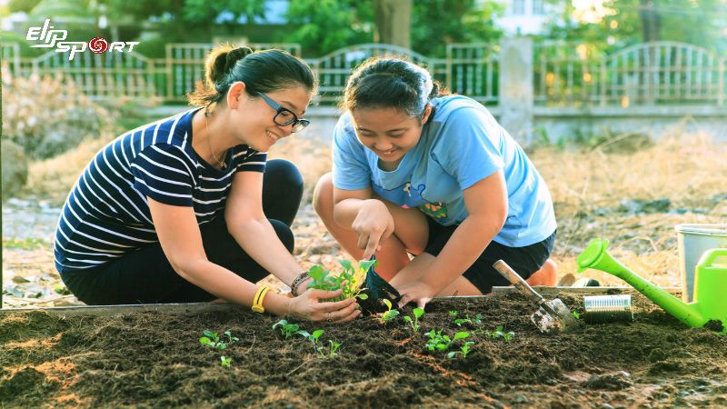 Làm vườn là một cách tập thể dục tuyệt vời