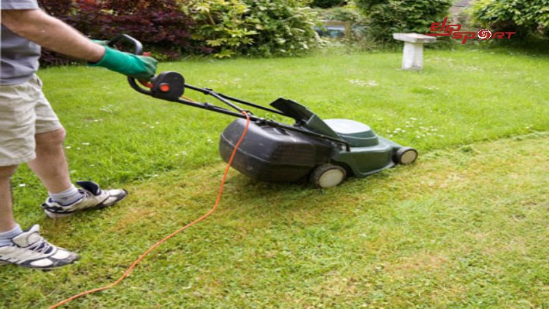 Hoạt động cắt cỏ sẽ làm tiêu tốn khoảng 135 calo