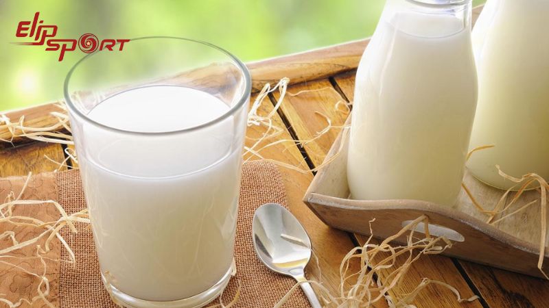 Sữa tươi không đường chứa rất nhiều vitamin và khoáng chất