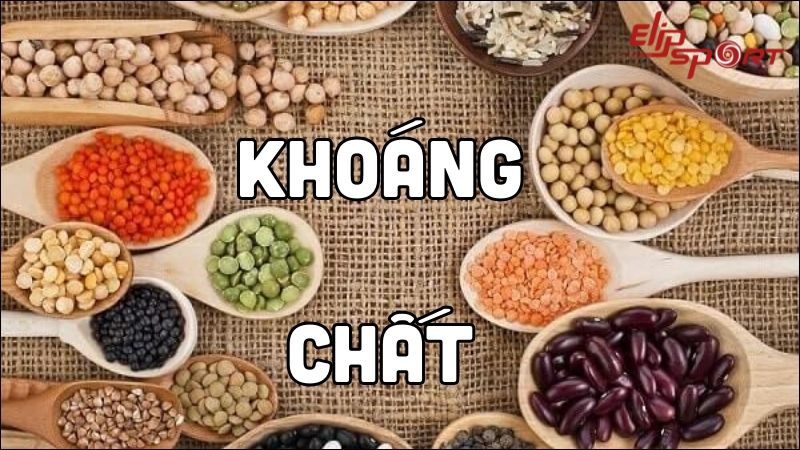 Thực phẩm giàu khoáng chất là chìa khóa quan trọng, góp phần vào sự phát triển cơ bắp và xương