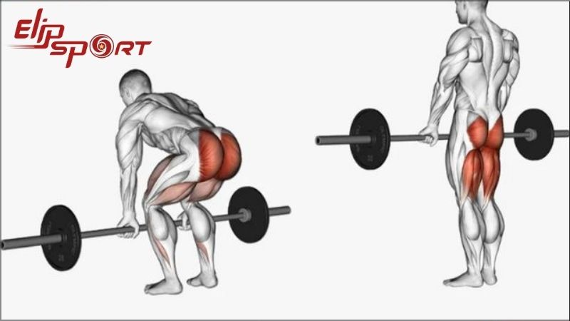 Deadlift được mệnh danh là 