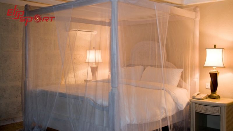 Bạn nên treo màn khi đi ngủ để hạn chế tối đa tình trạng bị côn trùng đốt