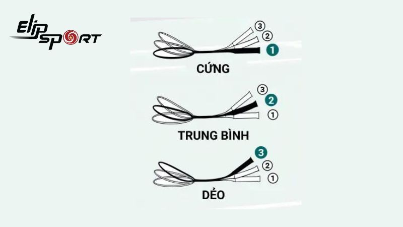 Chọn theo độ cứng, mềm của thân vợt