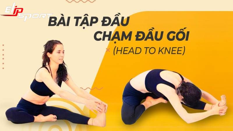 bài tập giãn cơ lưng
