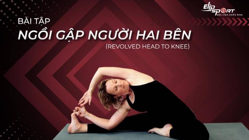 bài tập giãn cơ lưng